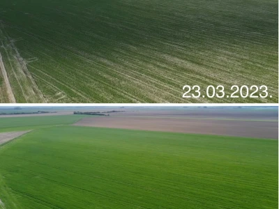 Timac Agro