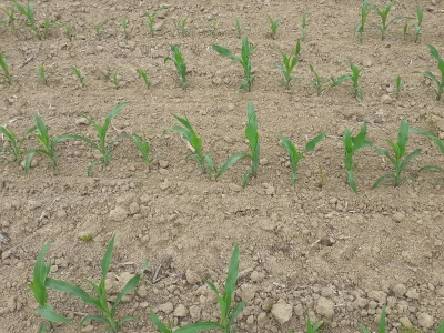 Timac Agro