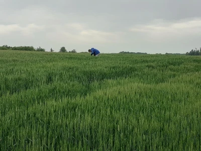 Timac Agro