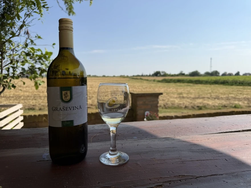 Gra&scaron;evina
