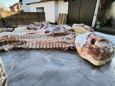 Tradicionalna slavonska svinjokolja