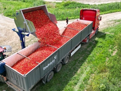 OPG Bošković Cerna