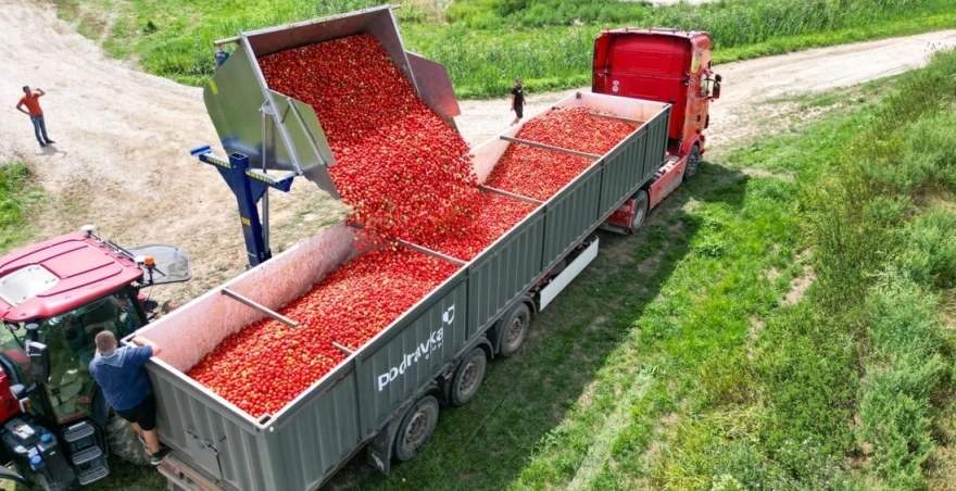 rajčica Podravka