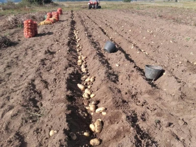 Treba li nam u svakom selu Milena Plećaš