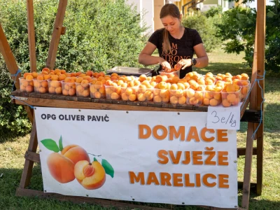 Trženje i skladištenje marelica