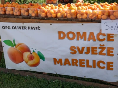 Trženje i skladištenje marelica