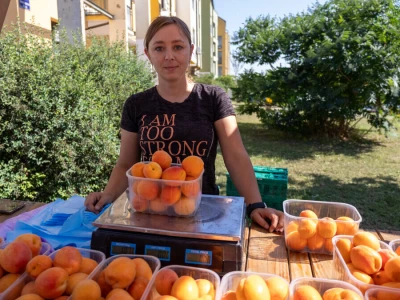 Trženje i skladištenje marelica