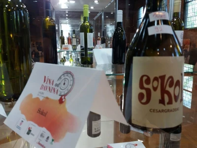 Tržište vina