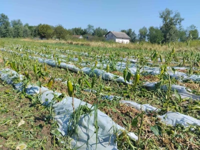 Tuča 2023