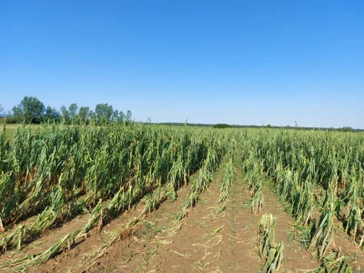 Tuča 2023