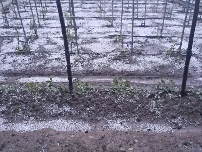 Tuča u Zagorju