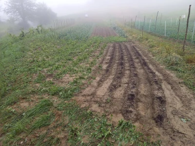 Tuča uništila povrća na OPG-u Duk