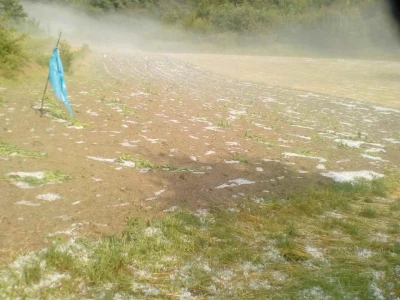 Tuča