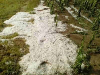 Tuča