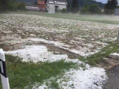Nezapamćena tuča