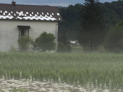 Tuča