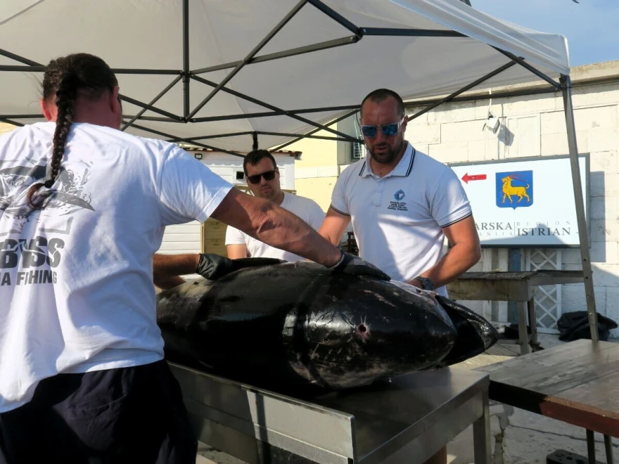 tuna tunafest
