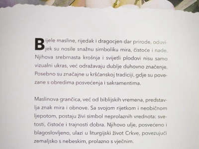 U Bijelom polju časne sestre franjevke posadile 33 bijele masline!