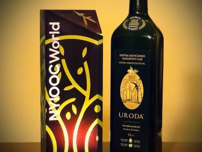 U MASLINIKU OPG URODA: Učenici američke škole iz Zagreba brali malsine u zaleđu Pirovca