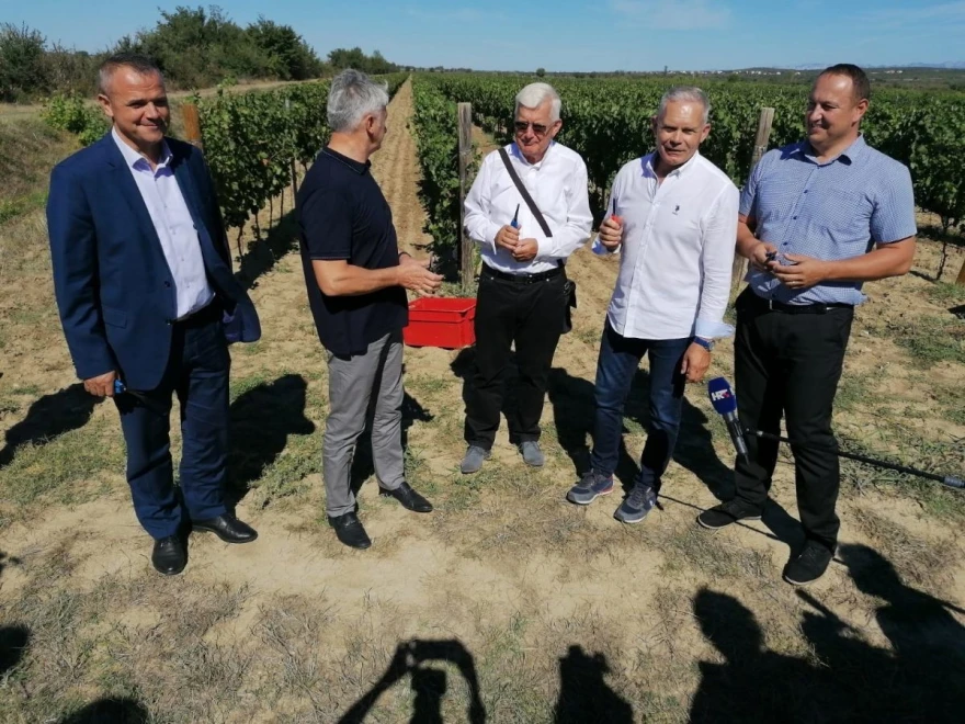 Očekujemo dobru vinogradarsku godinu, rekao je Glavić