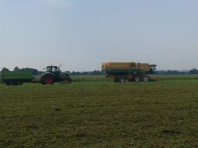 U Podravini počela berba graška
