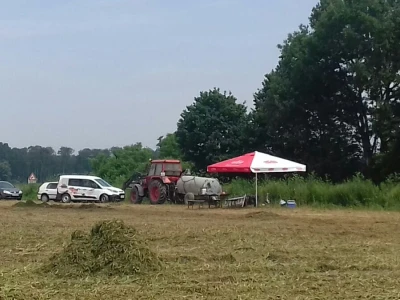 U Podravini počela berba graška
