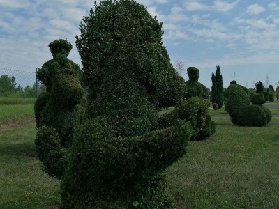 U Sračincu jeotvoren topiary  park