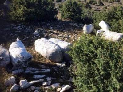 Ubrano smilje u vrećama odbačeno u prirodi