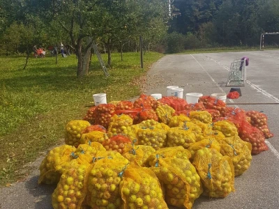 Učenička zadruga Bobovac - Brod na Kupi