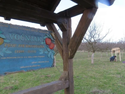 Učeničko zadrugarstvo