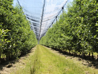 Udruga Crovita surađuje s tvrtkom Timac Agro
