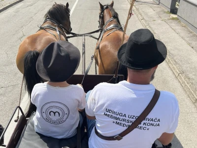 Udruga uzgajivača međimurskog konja Međimurec