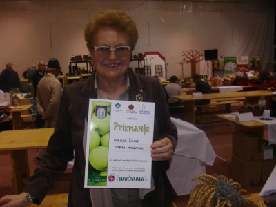 Udruga žena Stari Mikanovci
