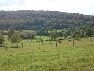 Pregonski pašnjaci