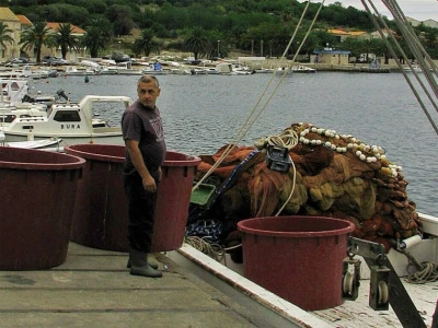 Ulov i trženje srdele
