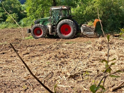 Uređenje zapuštenog zemljišta