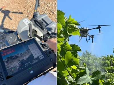 Platforma Vineyard Angel