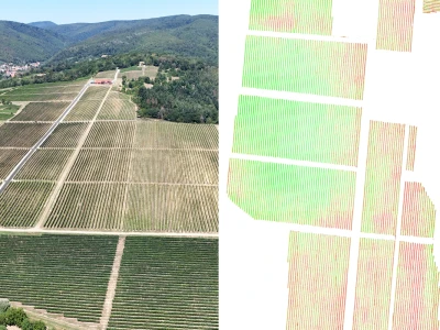 Platforma Vineyard Angel