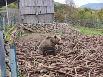 Utočište za medvjede u Kuterevu