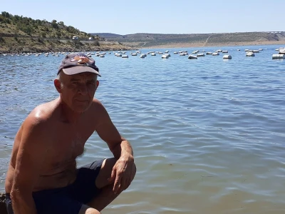 Uzgoj dagnji