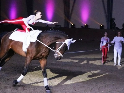 Vaulting