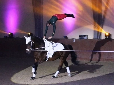 Vaulting