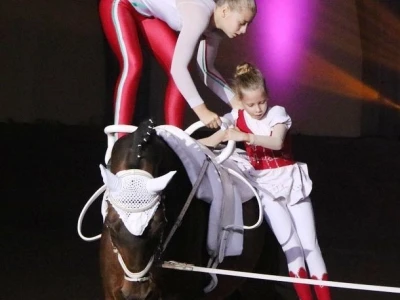 Vaulting