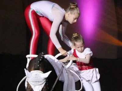 Vaulting