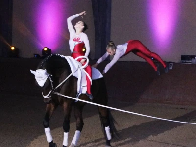 Vaulting