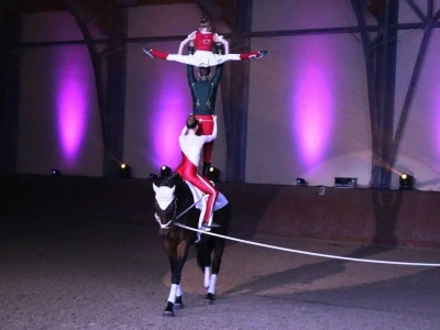 Vaulting