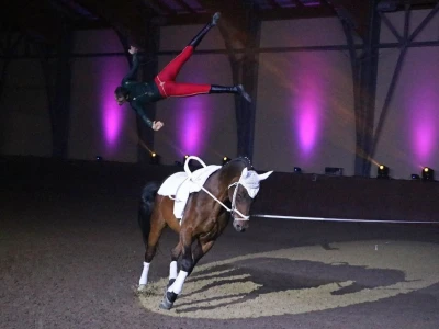 Vaulting