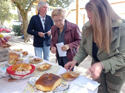 Vazmeni pondejak va Medveje