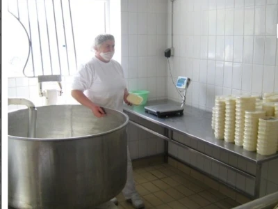 Proizvodnja sira