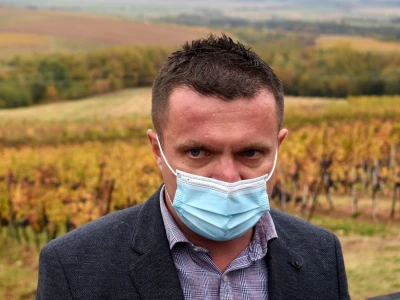 Vetovo vinogradi